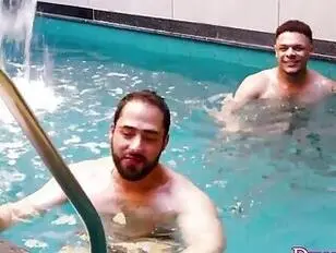 शानदार चौकड़ी