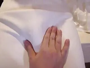 Primera noche de mariquita asiática