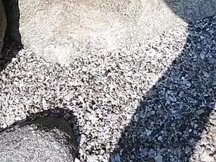 Atemberaubende,durchtrainierte Transfrau hat Sex mit ihrem männlichen Liebhaber im Freien.