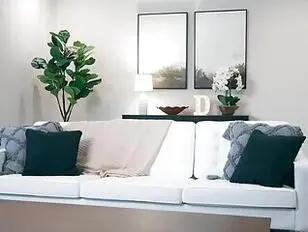 De schoonfamilie neuken