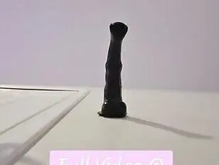 POV Femboy monta un pene de caballo de 25 cm sobre ti